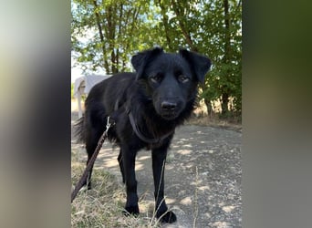 Blinder Finn sucht Menschen mit Herz