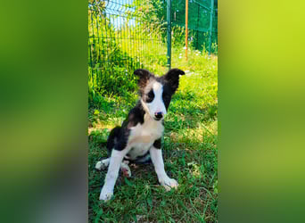Tina sucht ihre Herzmenschen❤️