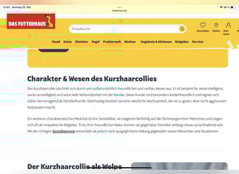 Lang- und Kurzhaar- Collie- Welpen