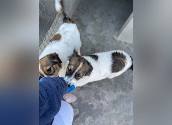 Maggy und Sally suchen ihr Glück