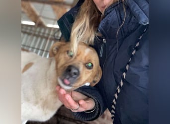 Kleiner Freddi sucht liebevolles Zuhause