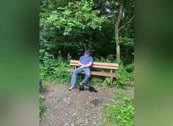 Gustl - kleiner Charmeur