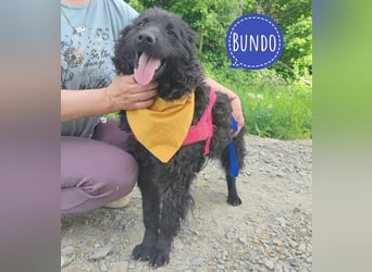 Bundo ein Schatz