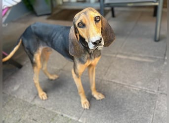 Jo:  sein Blick sagt: "Hab mich lieb"