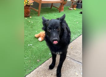 Fiona SR– Kleine Entdeckerin sucht liebevolles Zuhause