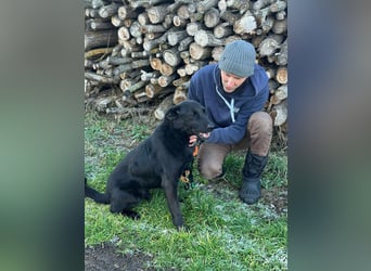 Axel, geb. 01.07.2023, 57cm, sucht seine Menschen