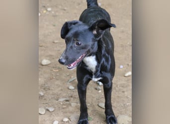 Verspielte FIONA ist neugierig auf die Welt