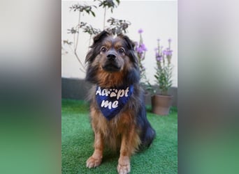 Buddy-SR, möchte dein Freund werden