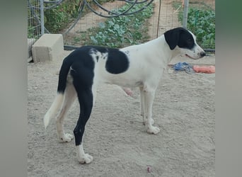 Josie möchte jetzt auch endlich ankommen