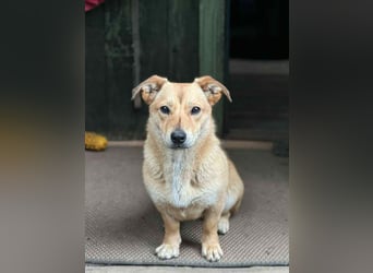 Sanfte Martha sucht ihr Zuhause