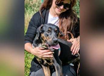 Alejandro – ein lebensfroher Hundejunge