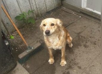 Update Nala: reserviert