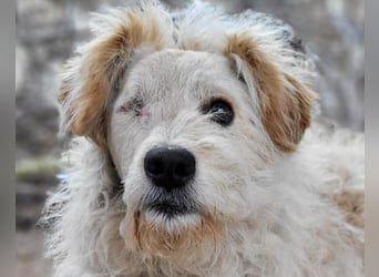 Lucky ❤️ fröhlich+aufgeweckt sucht dich!