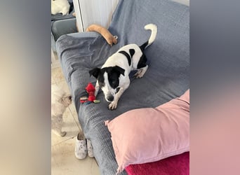 Hübsche Iris sucht liebe Familie