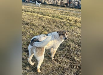 Aufgeschlossene Freya sucht liebe Familie