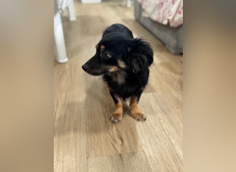 Isabel, sucht ihre Familie