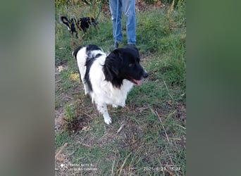 Fortuna sucht ihre Menschen