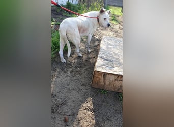 Hera-DG, Omi sucht Seniorenresidenz!