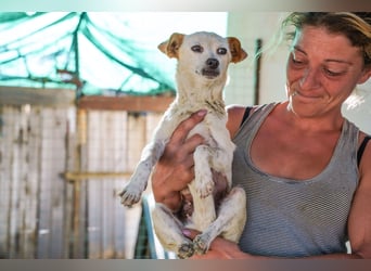 Adela – kleine Hundedame sucht ihr erstes richtiges Zuhause