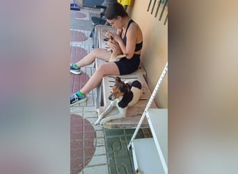 KIKA