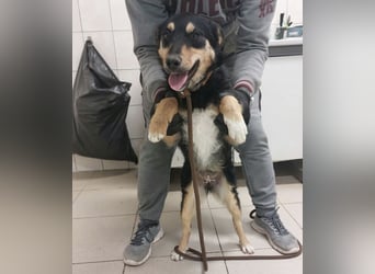 Jagoda ein fröhliches Mädchen