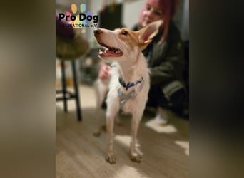 Lilo, einfach zum verlieben
