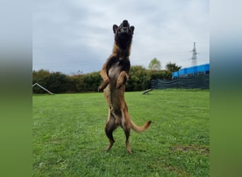 Max