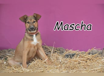 Zeigen Sie Mascha, was Liebe ist?
