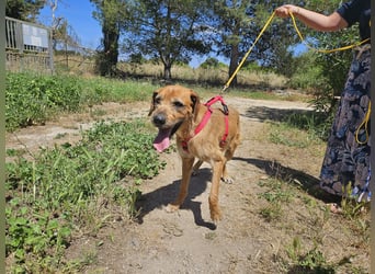 Balu: er hat ganz viel Liebe zu geben