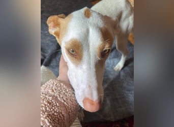 Barbi, sucht dringend einen neuen Platz