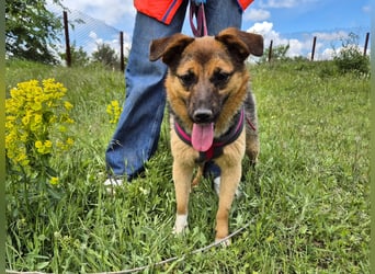 Liebe Ruby sucht eine neue Bleibe