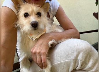 Loretta SR – Unkomplizierte Dame sucht ihr Zuhause