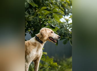 Aktiver Richard sucht seine Menschen