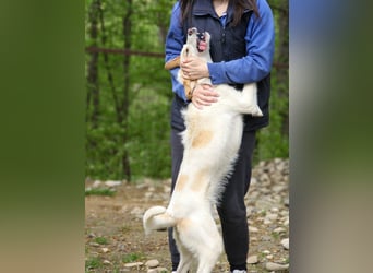 Lebensfrohe LIMA bezaubert durch ihre fröhliche und liebe Art