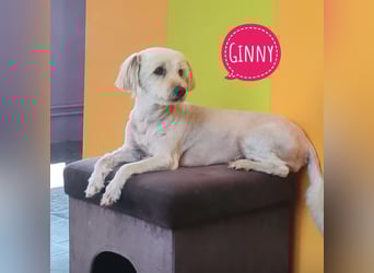 Ginny ein tapferes Mädchen