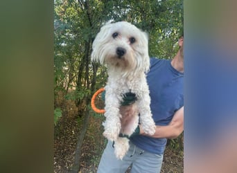 Casper, geboren 06.12.2023, 24cm sucht seine Menschen
