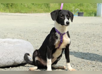 Hazel sucht ihre Lieblingsmenschen