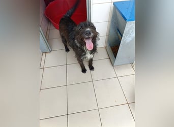 TOMILHO wünscht sich sein Traumkörbchen
