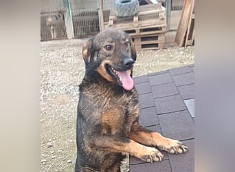 Niemand interessiert sich für Anton