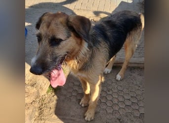 Winston wartet auf seine zweite Chance