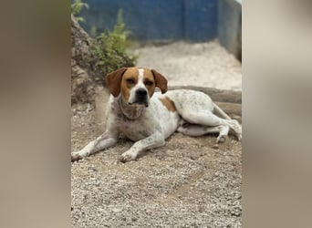 Cooper, hofft auf eine Chance