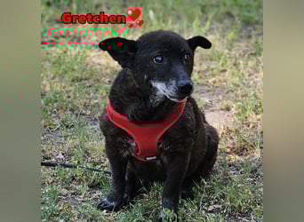 Gretchen ist freundlich und sanft