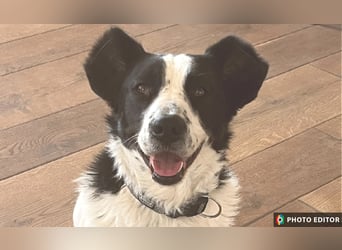 Frodo, ein Teddybär sucht seine Familie, PS in 86701 Rohrenfels