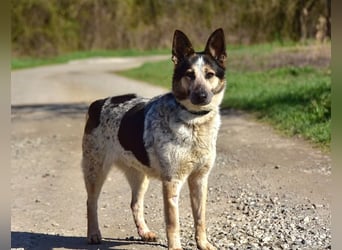 Dajana hat ein eher ruhiges Wesen