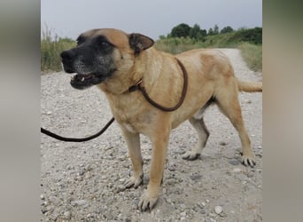 Zeki - hat Hölle hinter sich gelassen