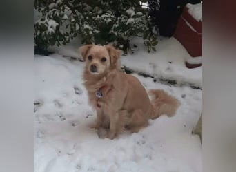 Lebensfrohe EMMY sucht gemütlichen Kuschelplatz