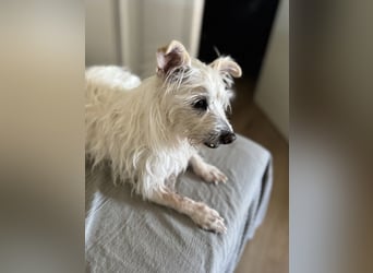 Pitufa, eine zauberhafte Seniorin