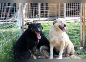 Lola, seit 7 Jahren hinter Gittern