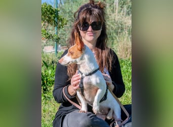 Bluey – eine Schmusemaus