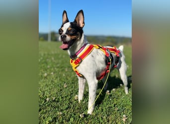 Luna sucht ihre Herzensmenschen